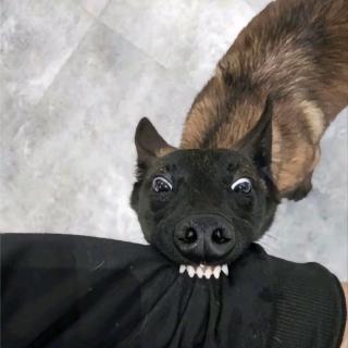 顺势而为