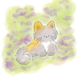 明媚