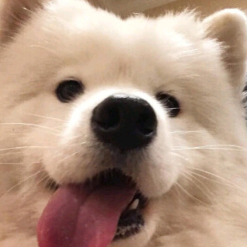おあ