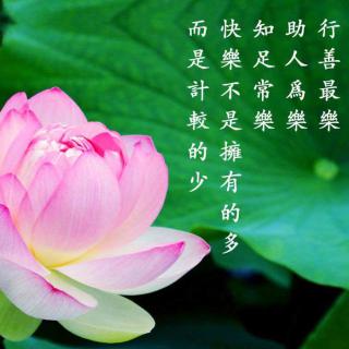 艺凡60