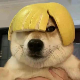 嗯emmmm