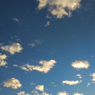 飒露紫