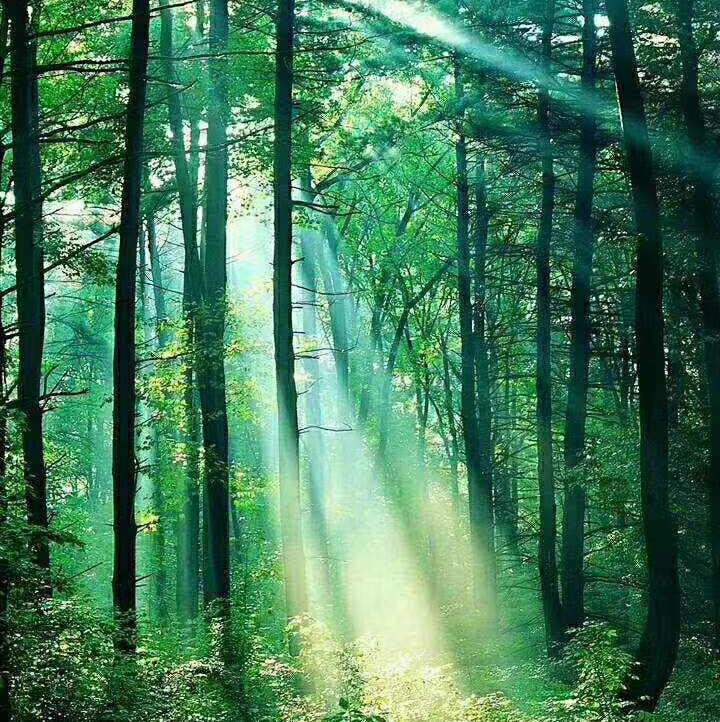 小爱的晴空絮语