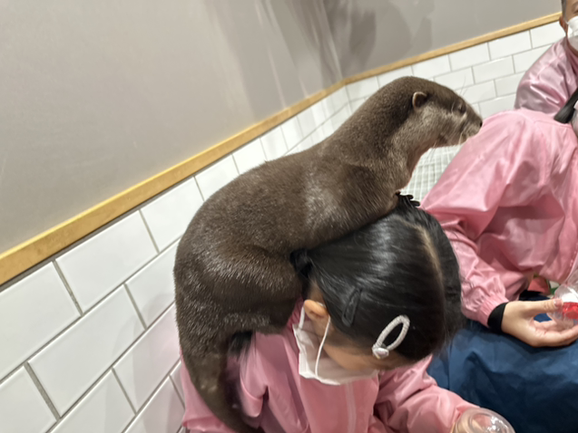 Tiny