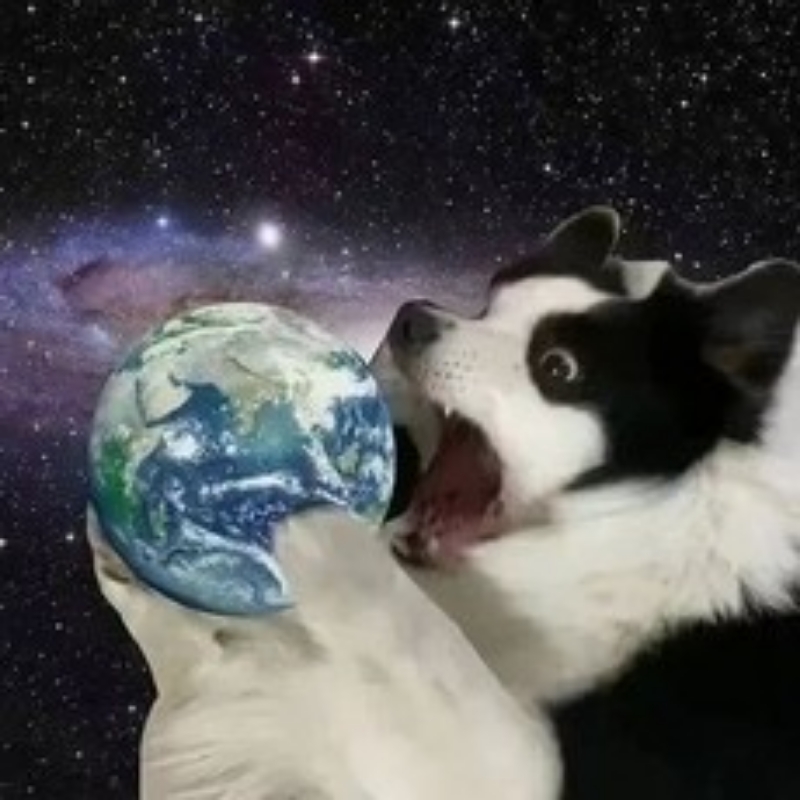 天才
