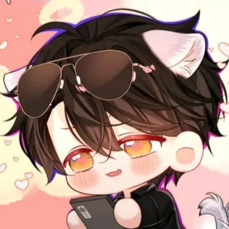 爱猫猫randi