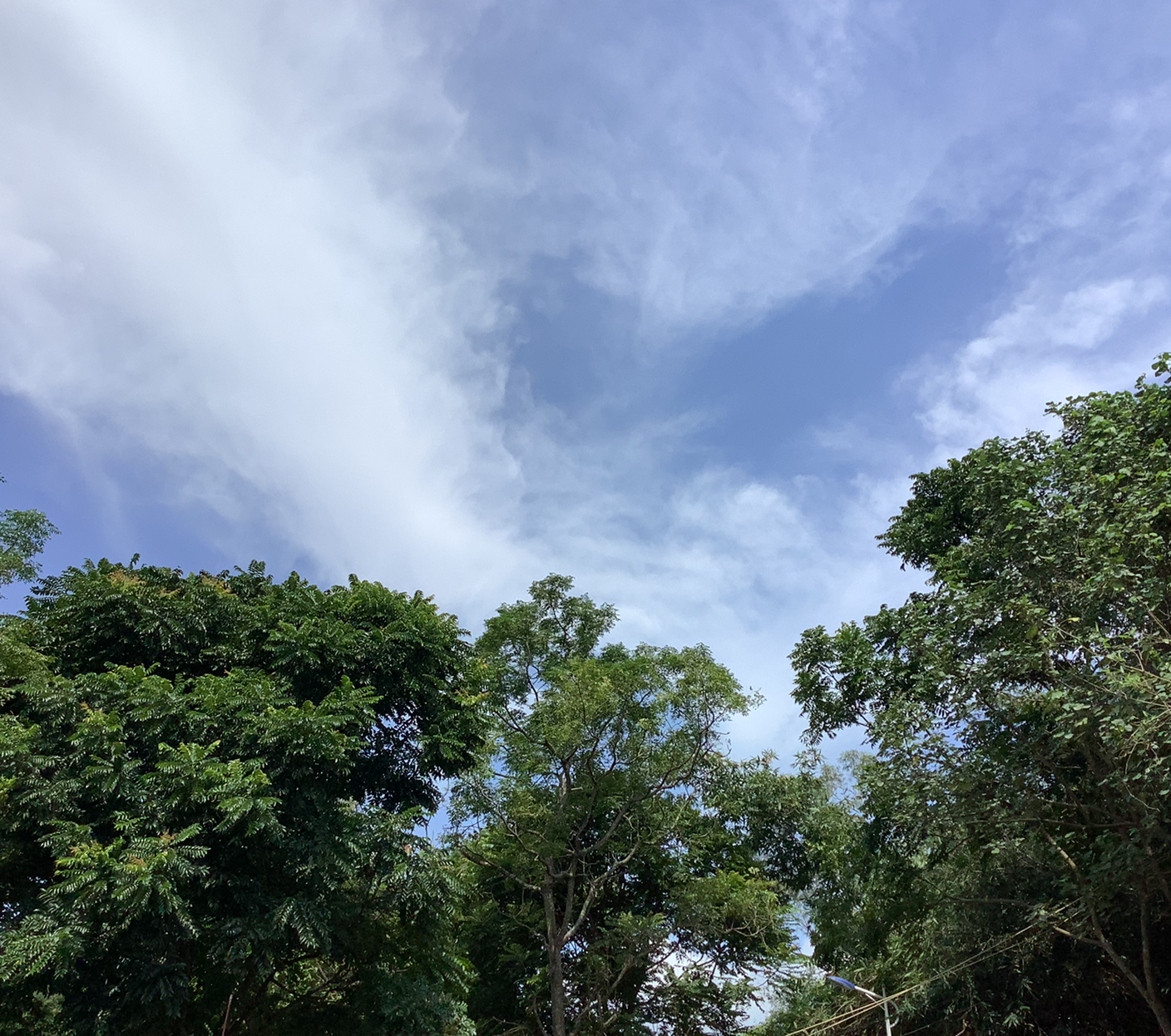 摸鱼中……