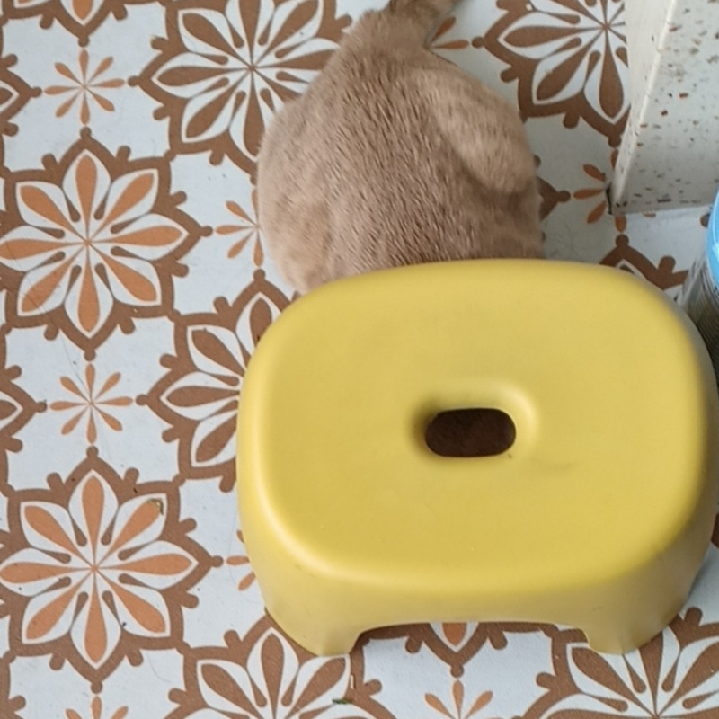 风语者