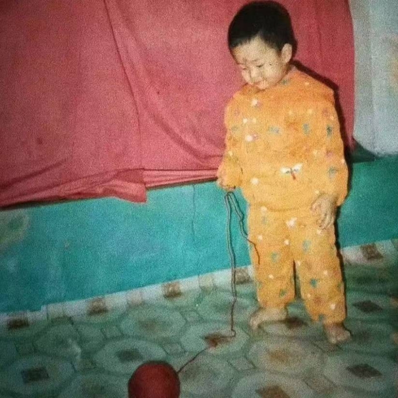 Huaer1994_