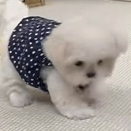 。