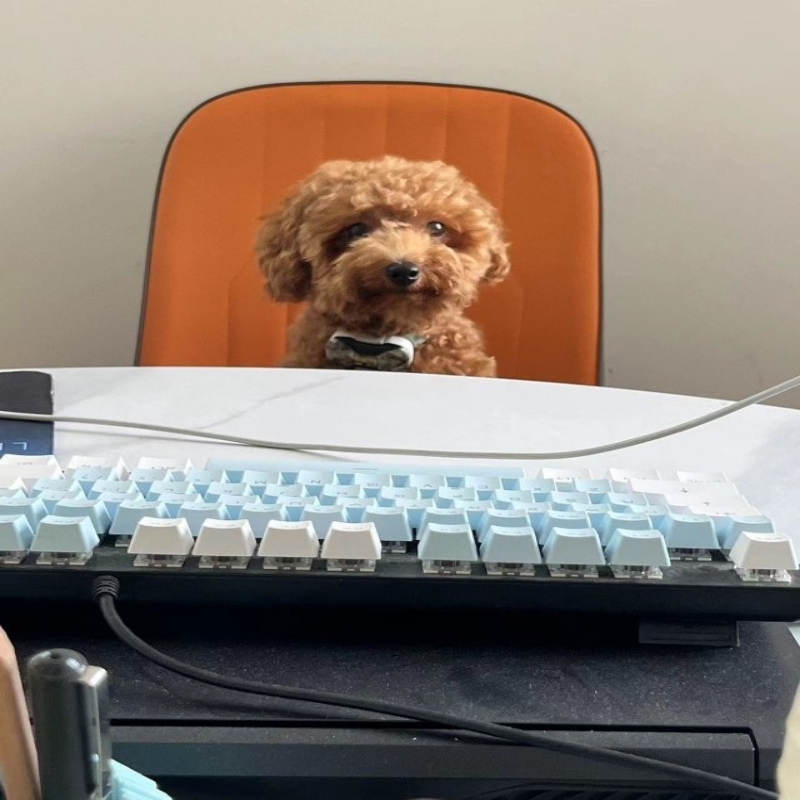 阁楼