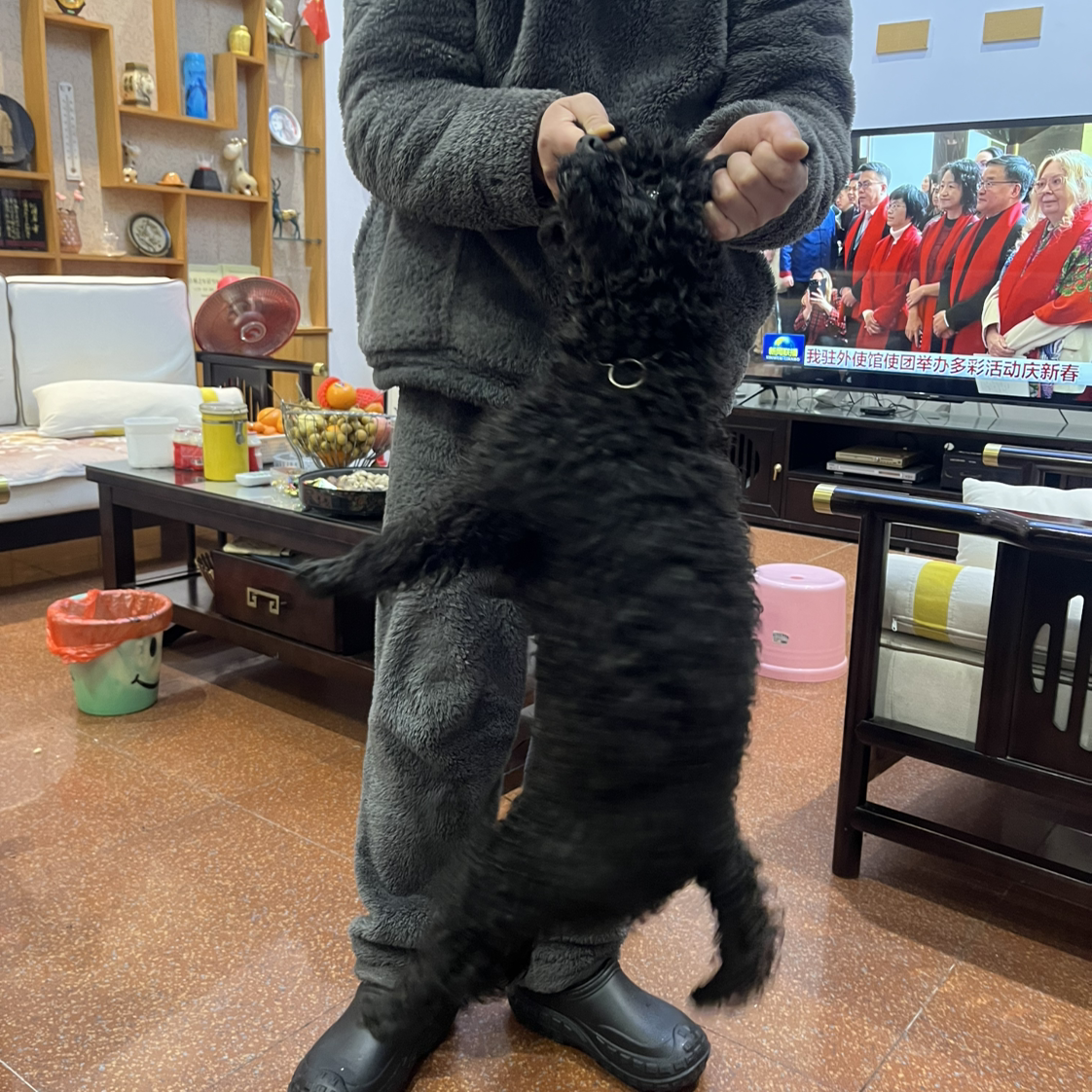 谢炎喆