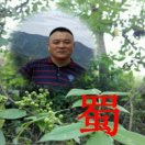 蜀东南