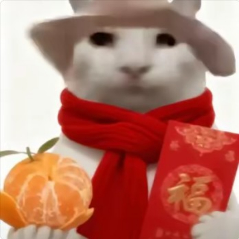 橙子味的小啾