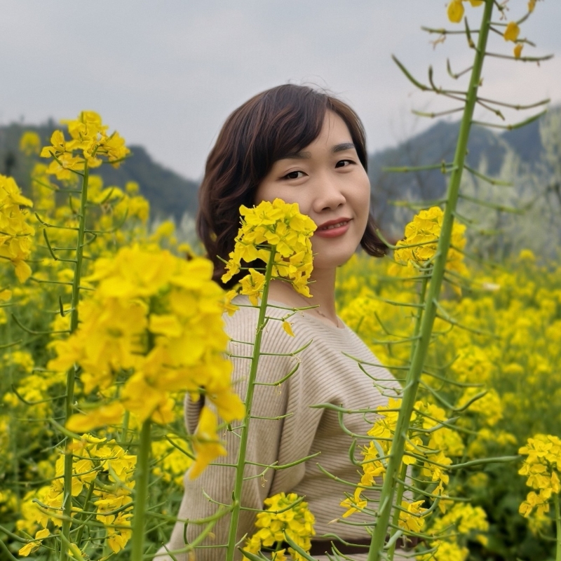 百灵的温柔时光