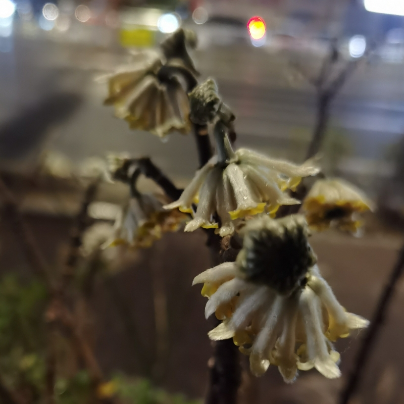 碧湖青波