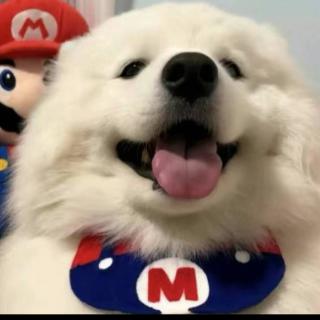 Smile