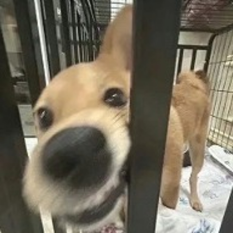 “该昵称已被占用”