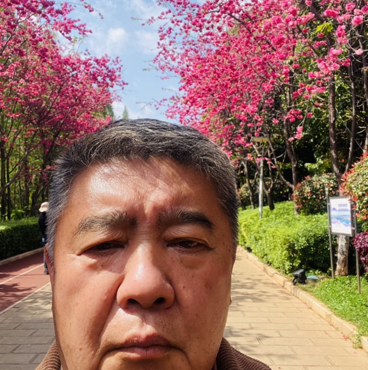 飘飘剑剑