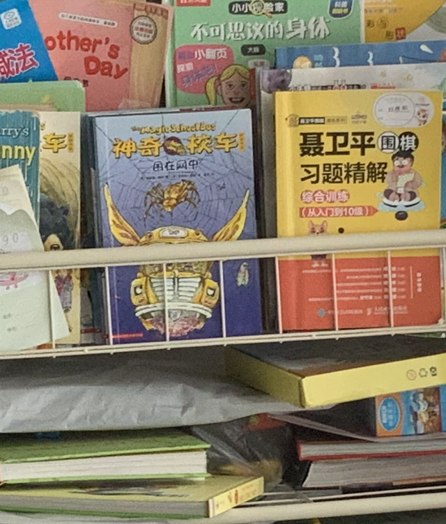 皮子
