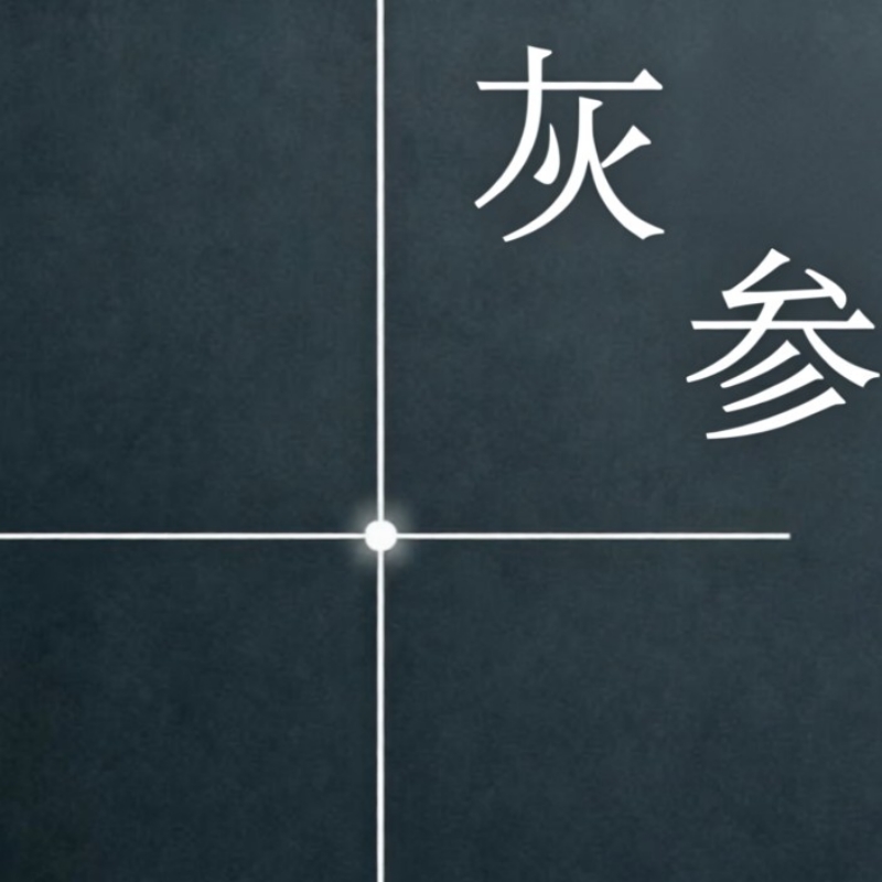 灰色参考系