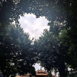 3087276373
