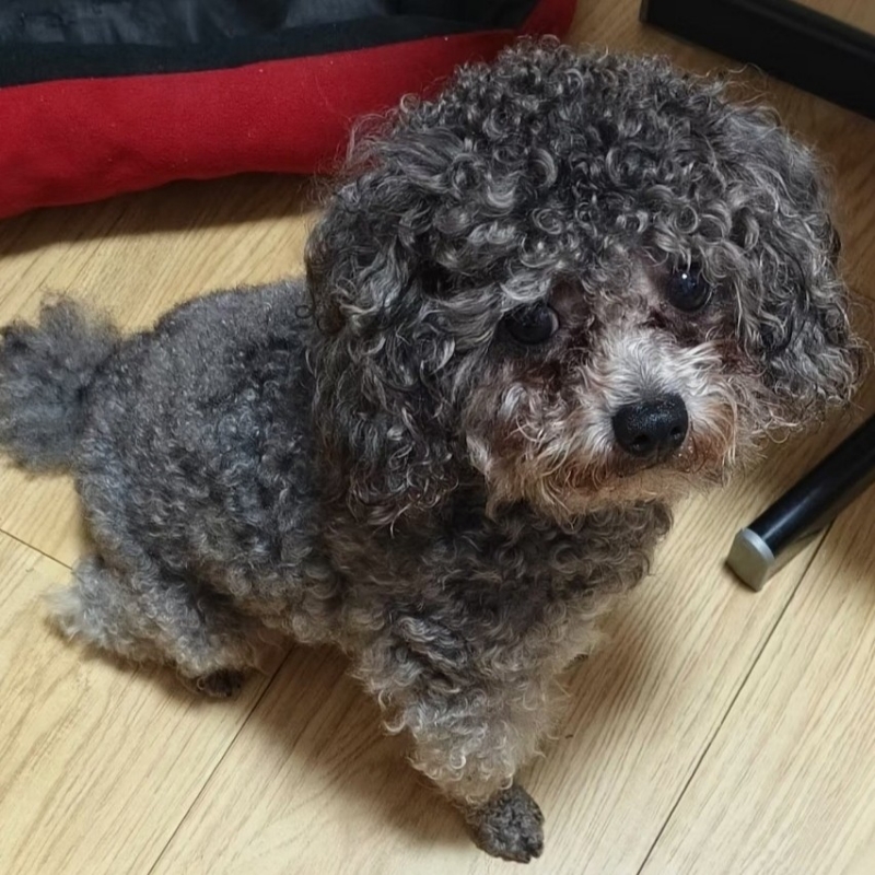 赵衍