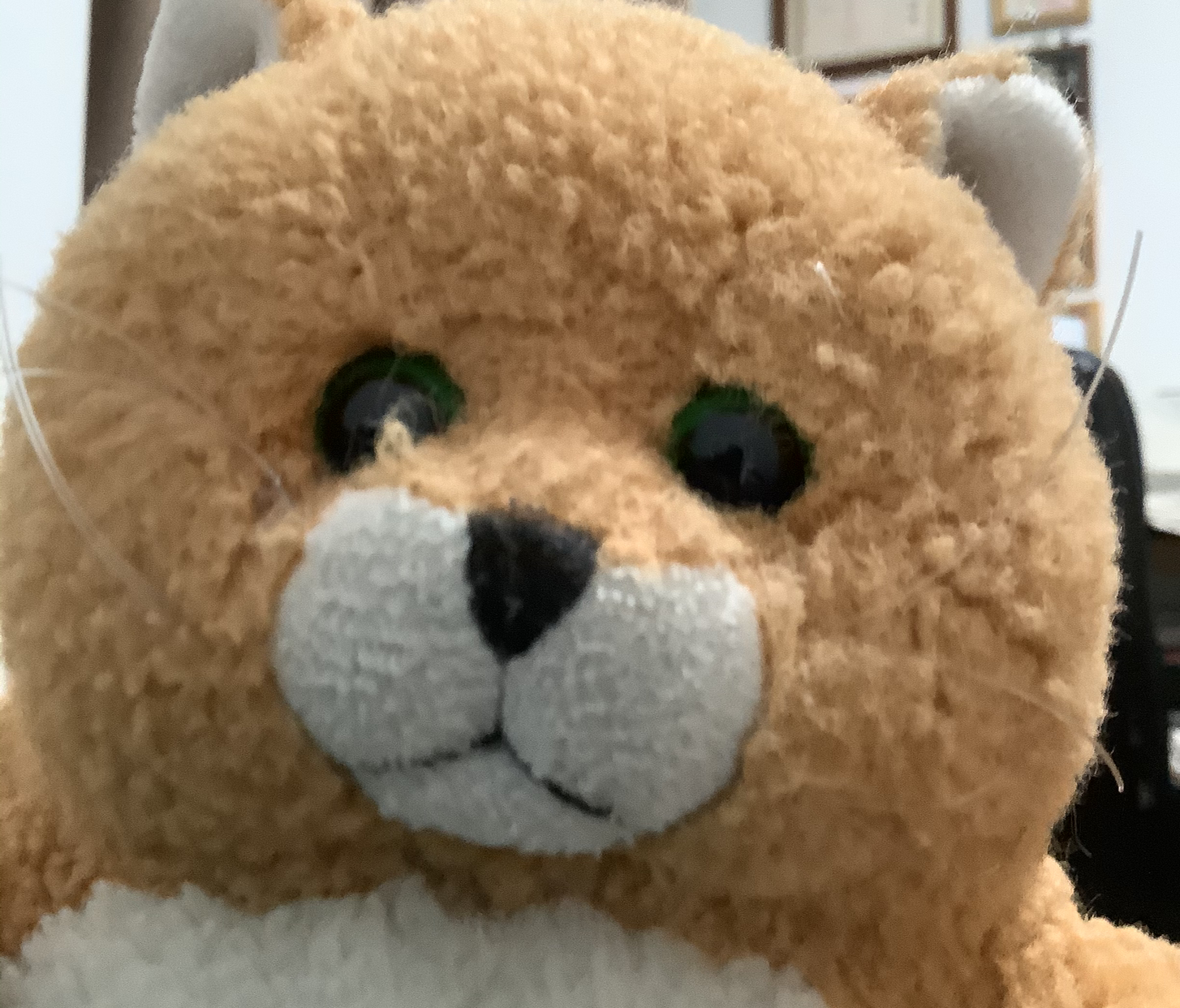 喵利波特