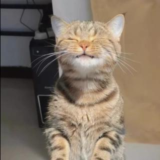 贾亚非