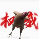 原