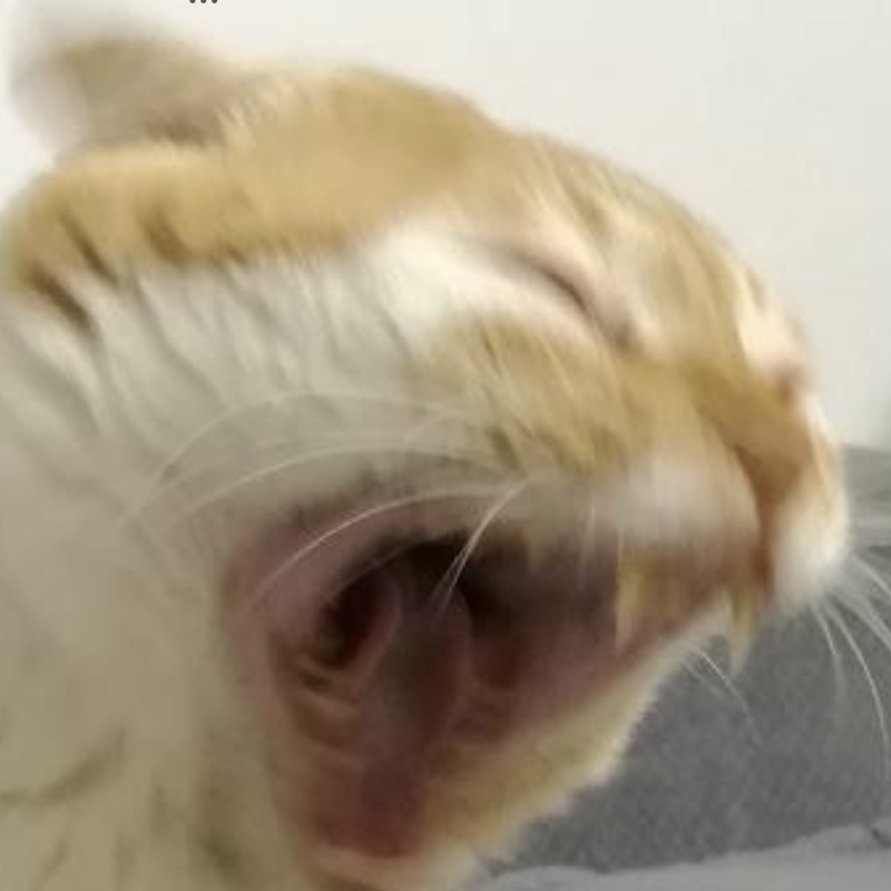 qcjust