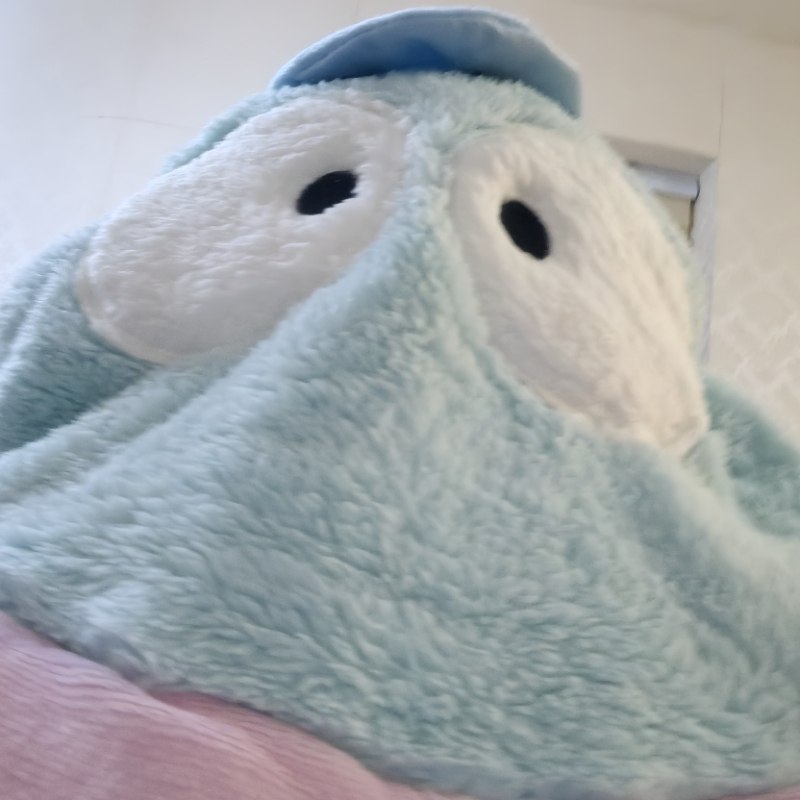如梦宁