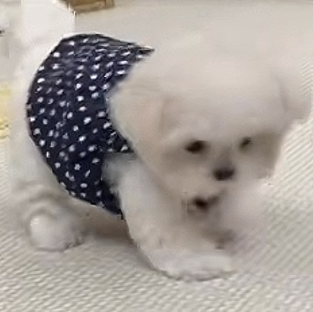 。