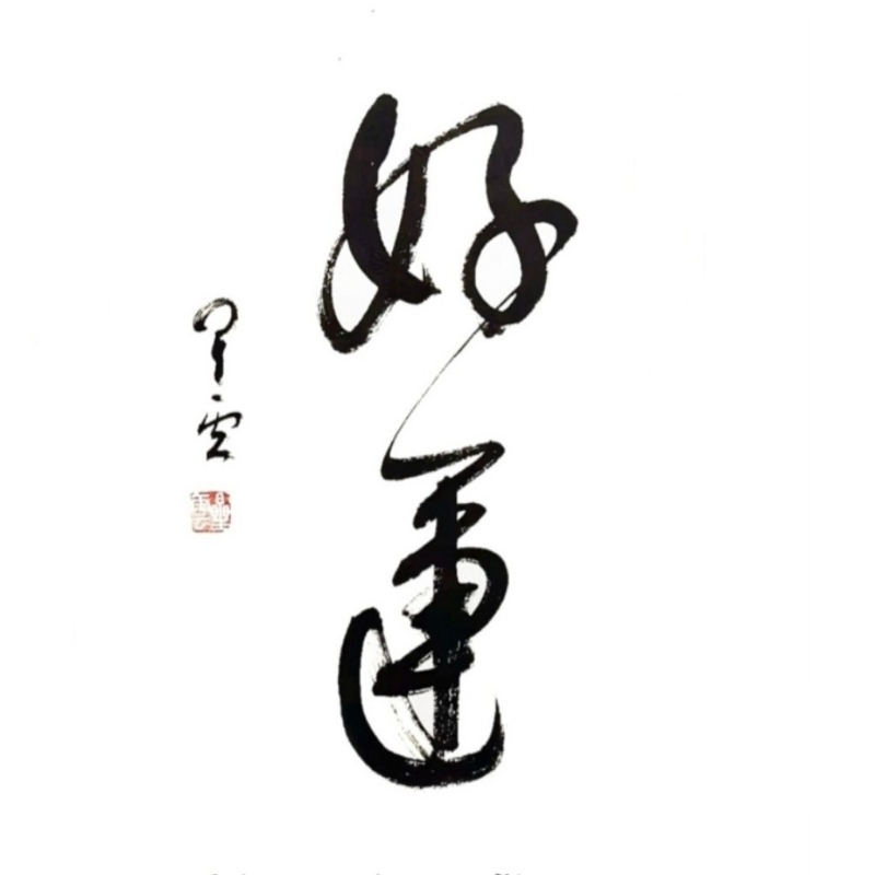 斯文SUEN