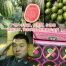 AA刘涛  潍坊老兵西瓜代办
