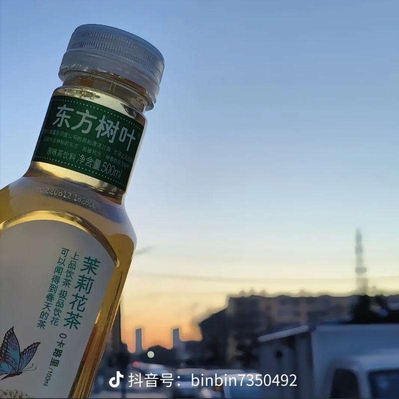 北派 盗墓笔记