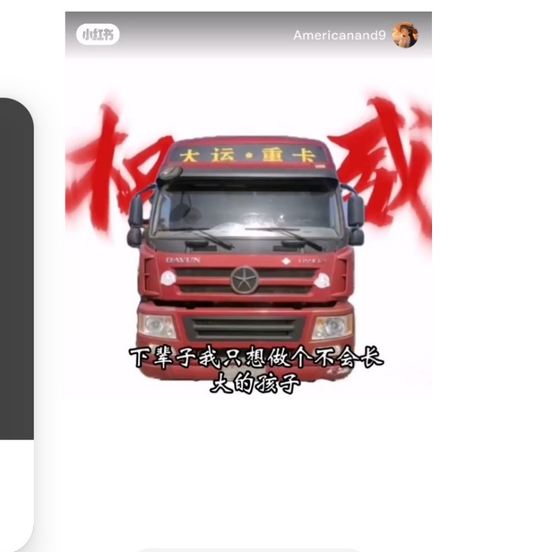 一只狗的梦想