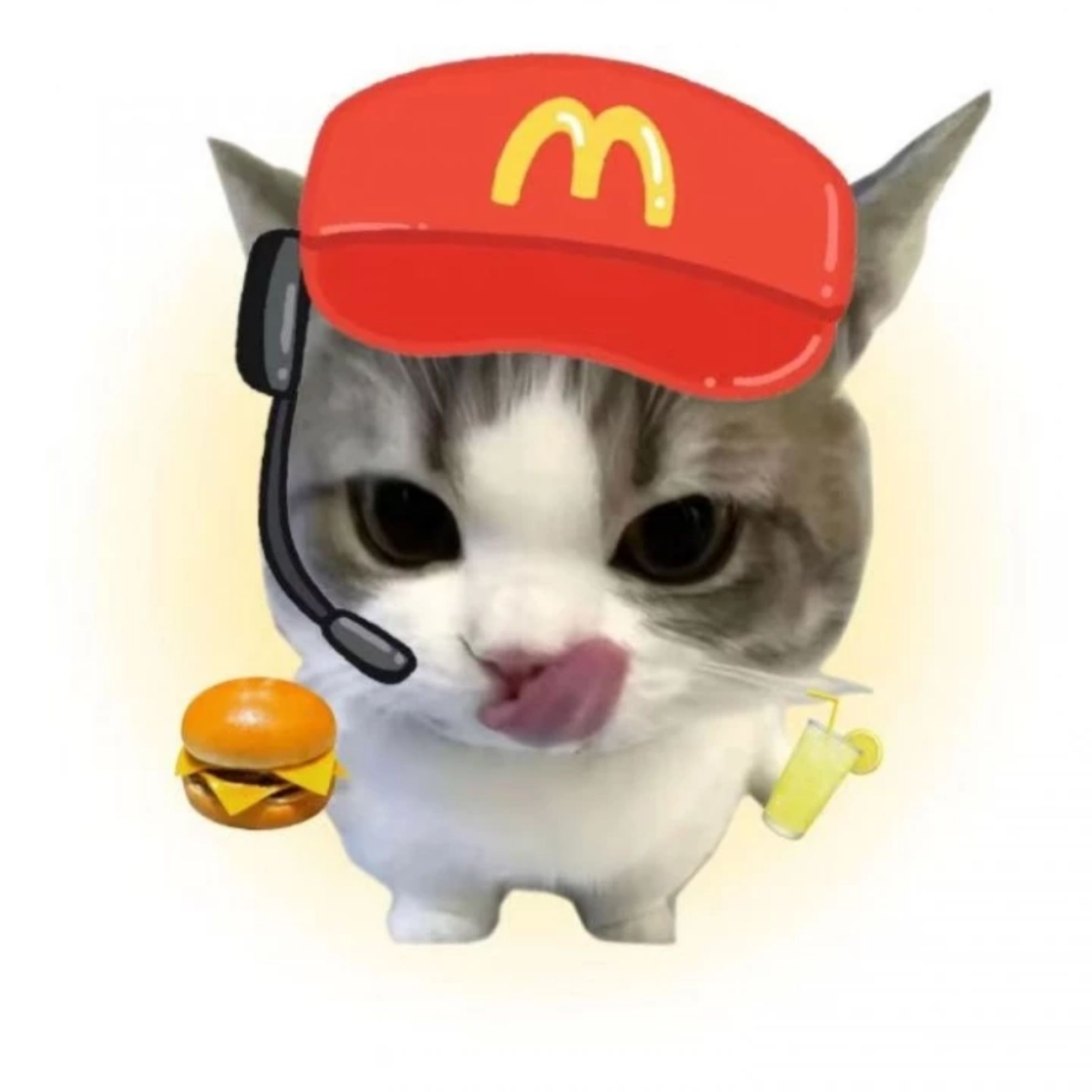 黑白小猫