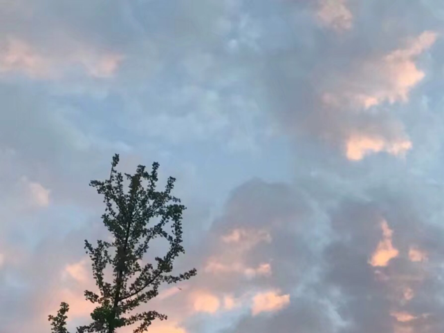 小可爱❤️