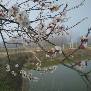 任方圆