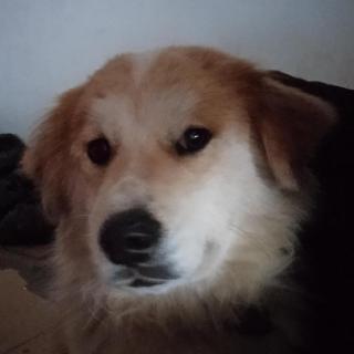 不羁