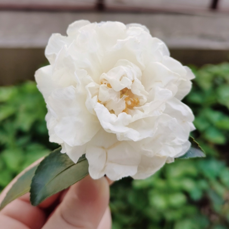 小雨点❤
