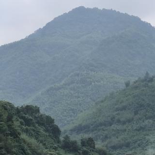 羊淘：2742518737