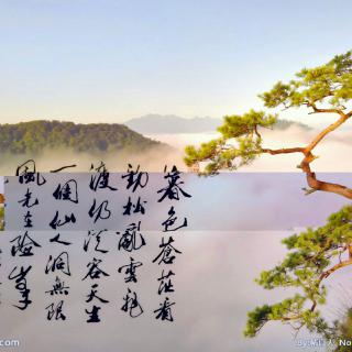 老沙