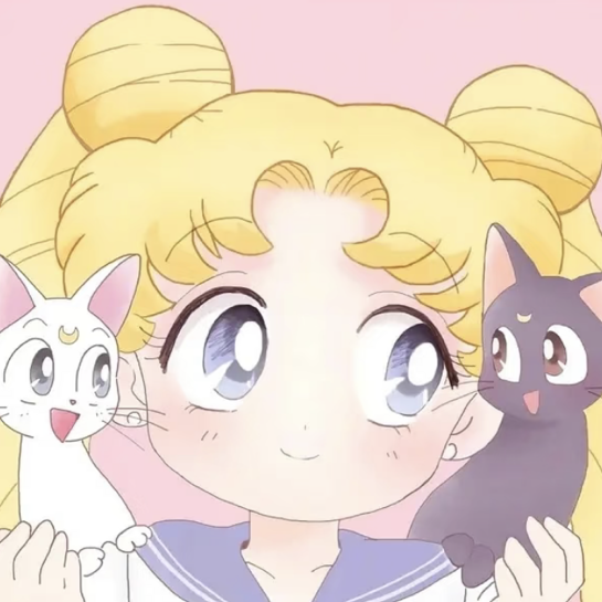 美少女战士🌕