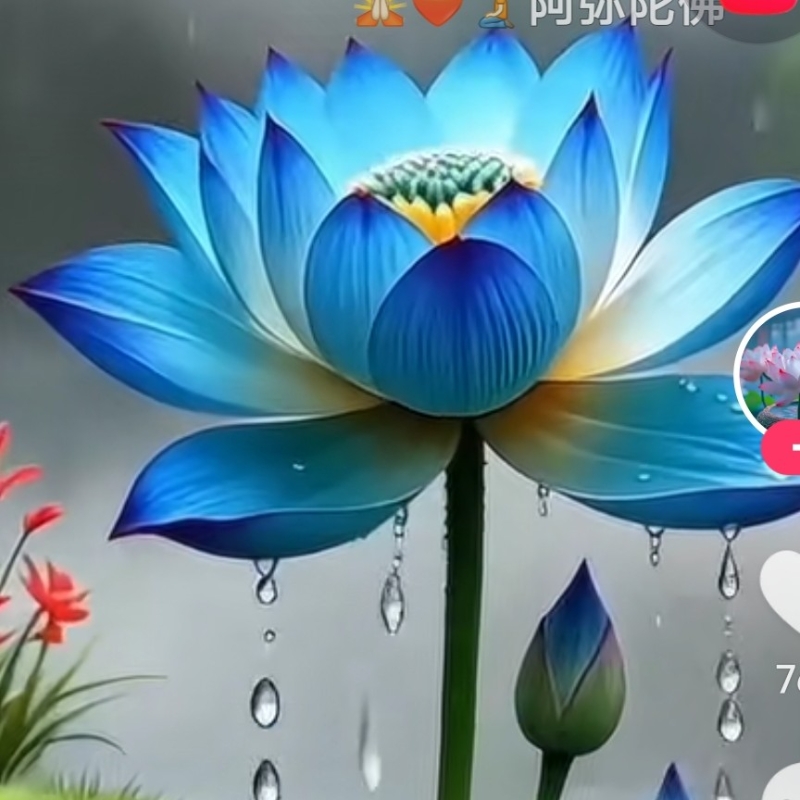 米乐
