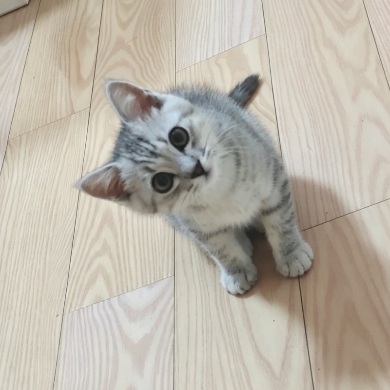 二姐夫的愤怒