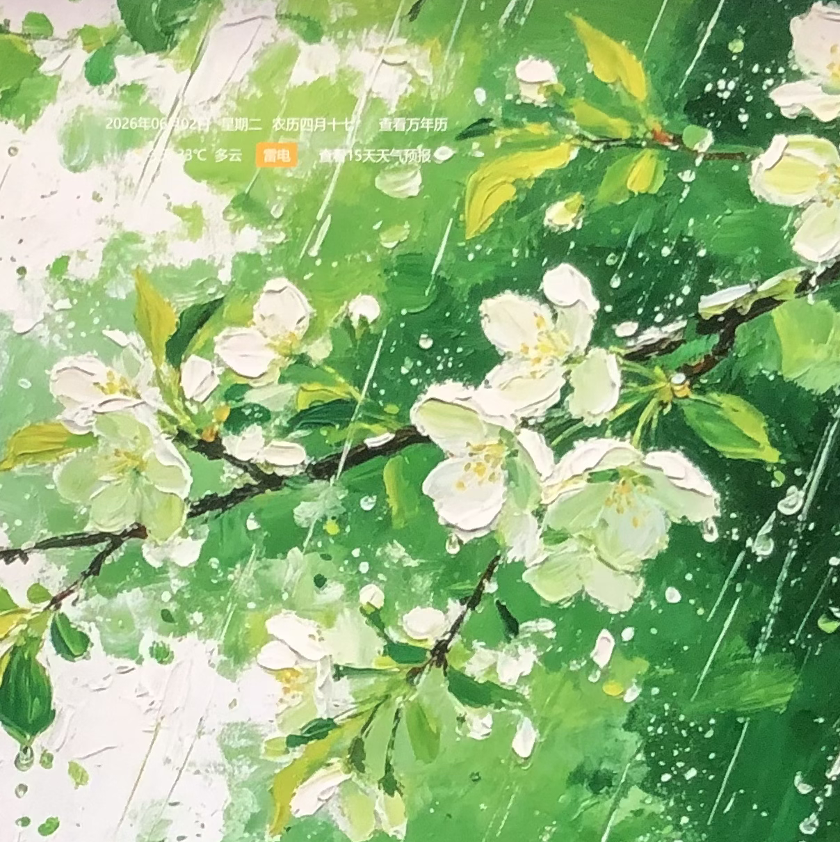 沫沫