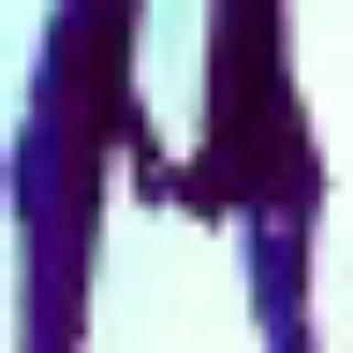 928533309