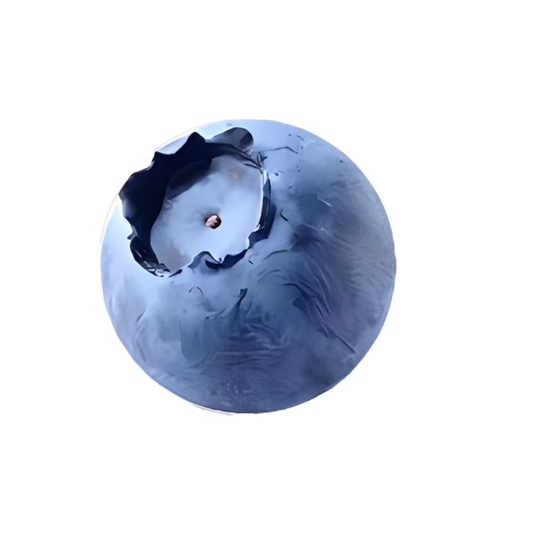 夲屴屴开